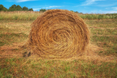 Similar image 20989619