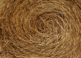 Similar image 20989620