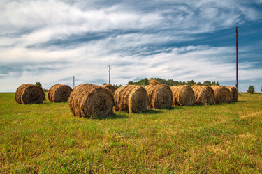 Similar image 20989622