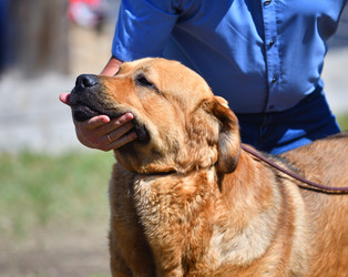 Similar image 21000512