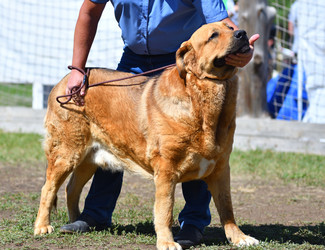 Similar image 21000513