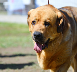 Similar image 21000514