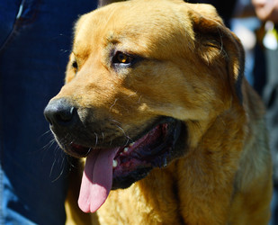 Similar image 21000516