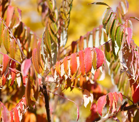 Similar image 21000518