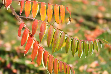 Similar image 21000520