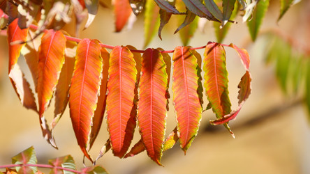 Similar image 21000522