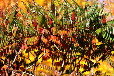 Similar image 21000524