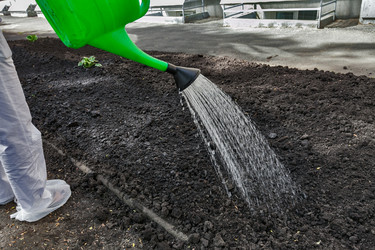 Similar image 20989627