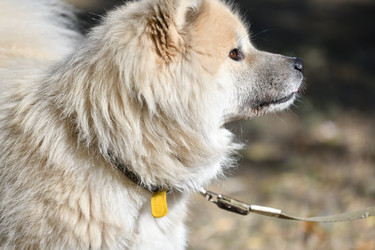 Similar image 21000252