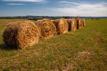 Similar image 20989648