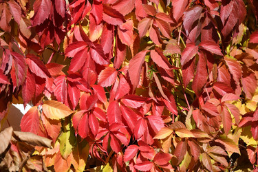 Similar image 21000257