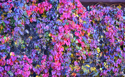 Similar image 21000261