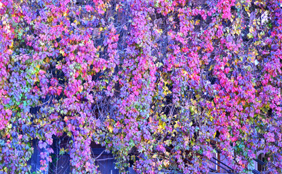 Similar image 21000262