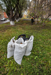 Similar image 20989662