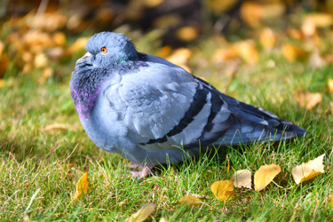 Similar image 21000280