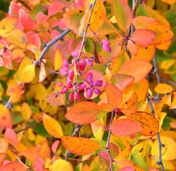 Similar image 21000281