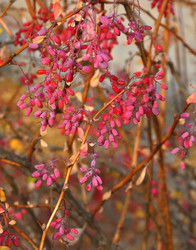 Similar image 21000283