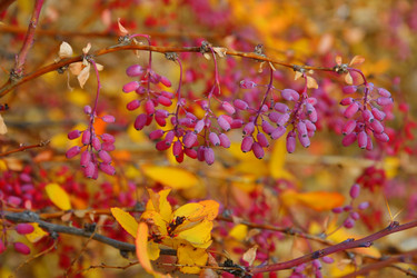 Similar image 21000285