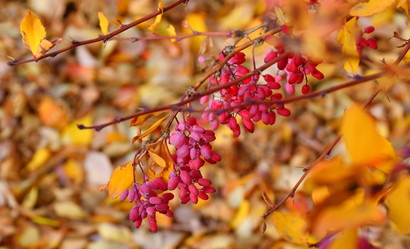 Similar image 21000287