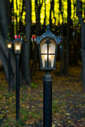 Similar image 21000530