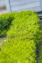 Similar image 20999391