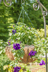 Similar image 20999392