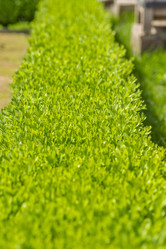 Similar image 20999394