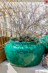 Similar image 20999400