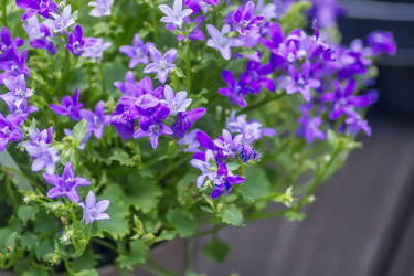 Similar image 21000547