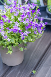 Similar image 21000548