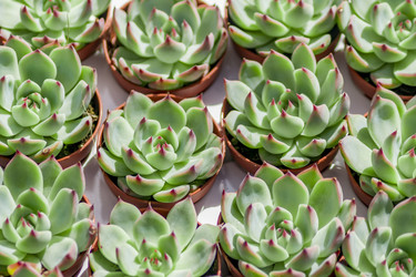 Similar image 21000549