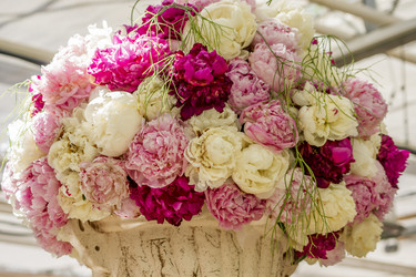 Similar image 21000555