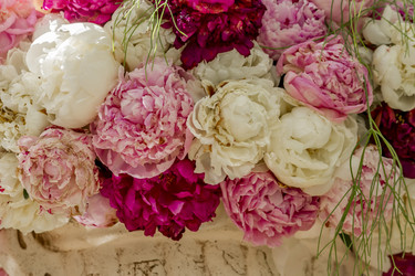 Similar image 21000556