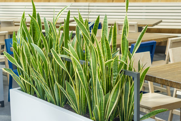 Similar image 21000561