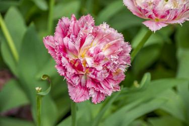 Similar image 20994144