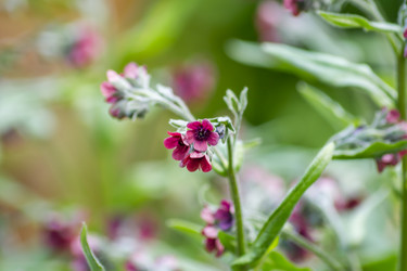 Similar image 20994146