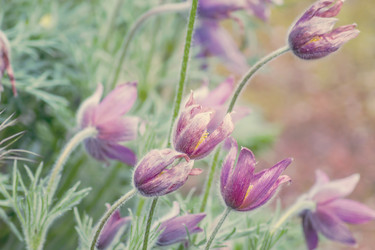 Similar image 20994147