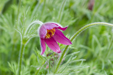 Similar image 20994149