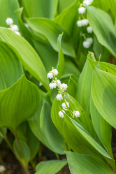 Similar image 20995410