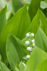 Similar image 20995411