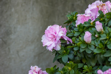 Similar image 20995414