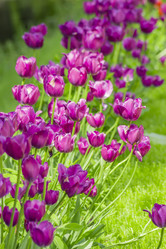 Similar image 20995419