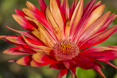 Similar image 20995424