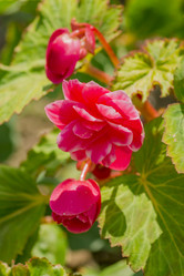 Similar image 20995426