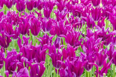 Similar image 20995427