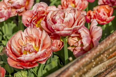 Similar image 21000565