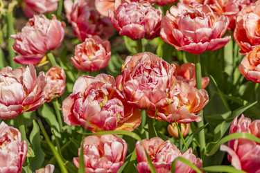 Similar image 21000566