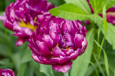 Similar image 21000569