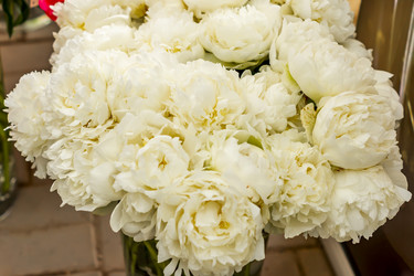 Similar image 21000572