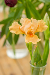 Similar image 21000576